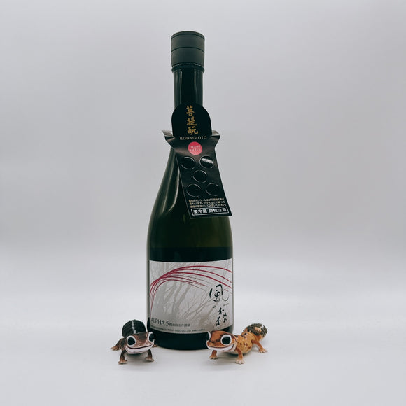 [카제노모리마츠리] 카제노모리 ALPHA TYPE5 칸자케노탄큐우 나마 720ml ALPHA 風の森 TYPE5 燗 SAKE の探求 生酒